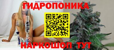соль курить ск Пушкино