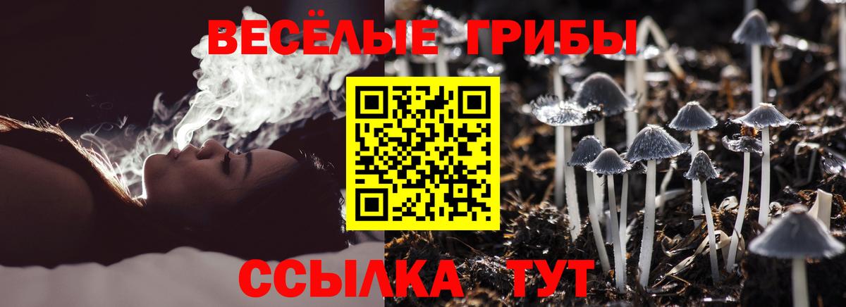 Строитель  Псилоцибиновые грибы прущие грибы  Вход с VPN  Псилоцибиновые грибы прущие грибы 