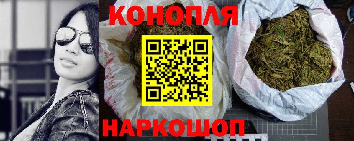 Шишки марихуана конопля  Вход с VPN  Шишки марихуана OG Kush  Строитель 